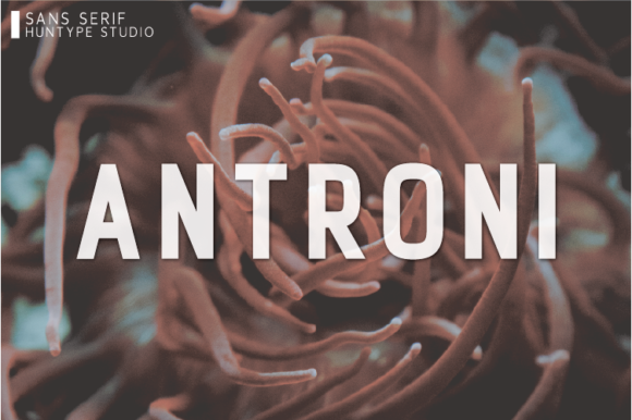 Antroni: The Bold Sans Serif Typeface for Modern Web Design