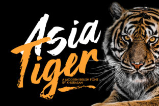 Asia Tiger: The Bold Typeface That Transformed My Small Brand