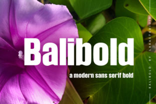 Balibold: The Versatile Sans Serif Font for Handmade Creators