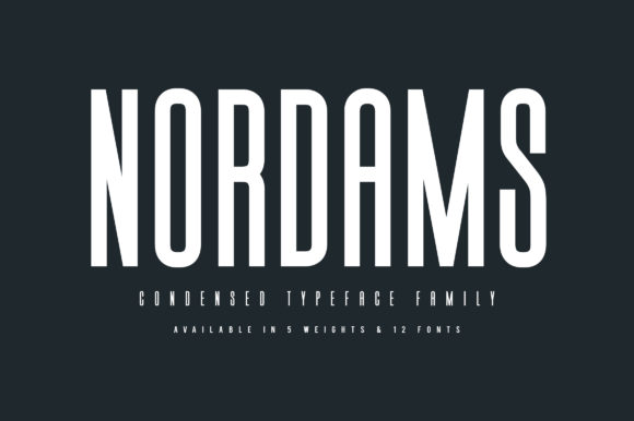 Nordams: The Minimal Sans Serif Font for Bold Campaigns