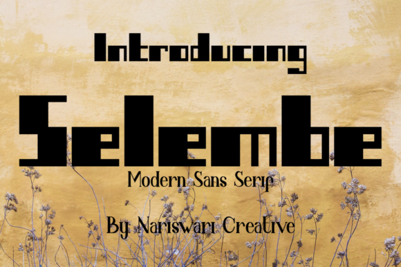 Selembe: The Bold Sans Serif Typeface for Modern Web Design
