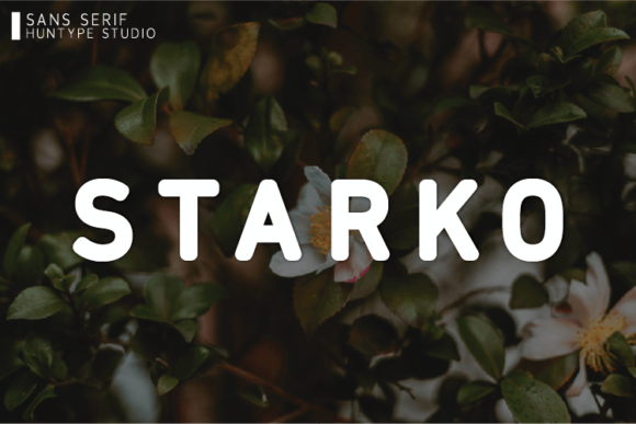 Starko: The Bold Sans Serif Font That Polishes Your Brand Identity