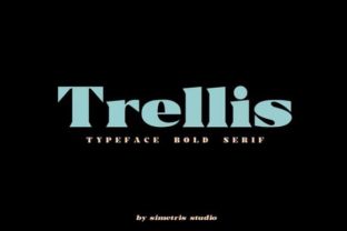 Trellis: A Bold Serif Font for Editorial Design and Branding